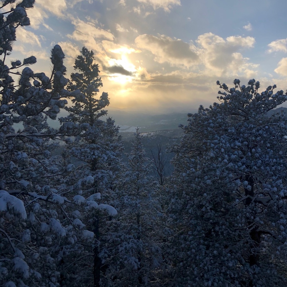 Meet your Posher, Luna